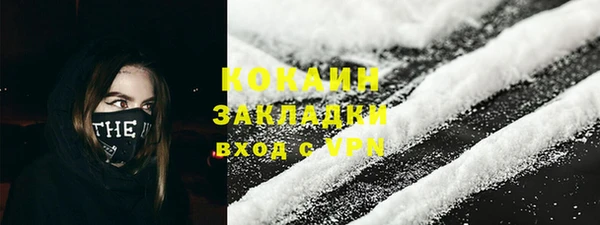 прущие крисы Бородино
