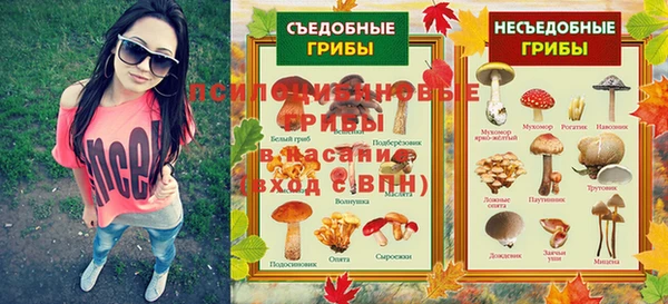 сатива Аркадак