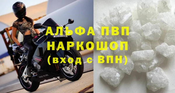 прущие крисы Бородино