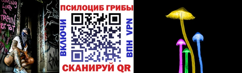 Галлюциногенные грибы Magic Shrooms  Зима 