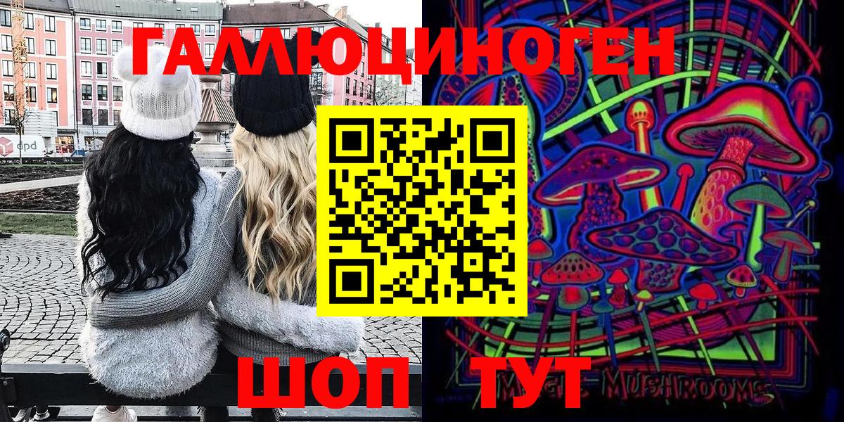 Галлюциногенные грибы Psilocybe Зима