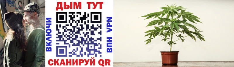 купить  цена  Зима  blacksprut зеркало  Бошки Шишки OG Kush 